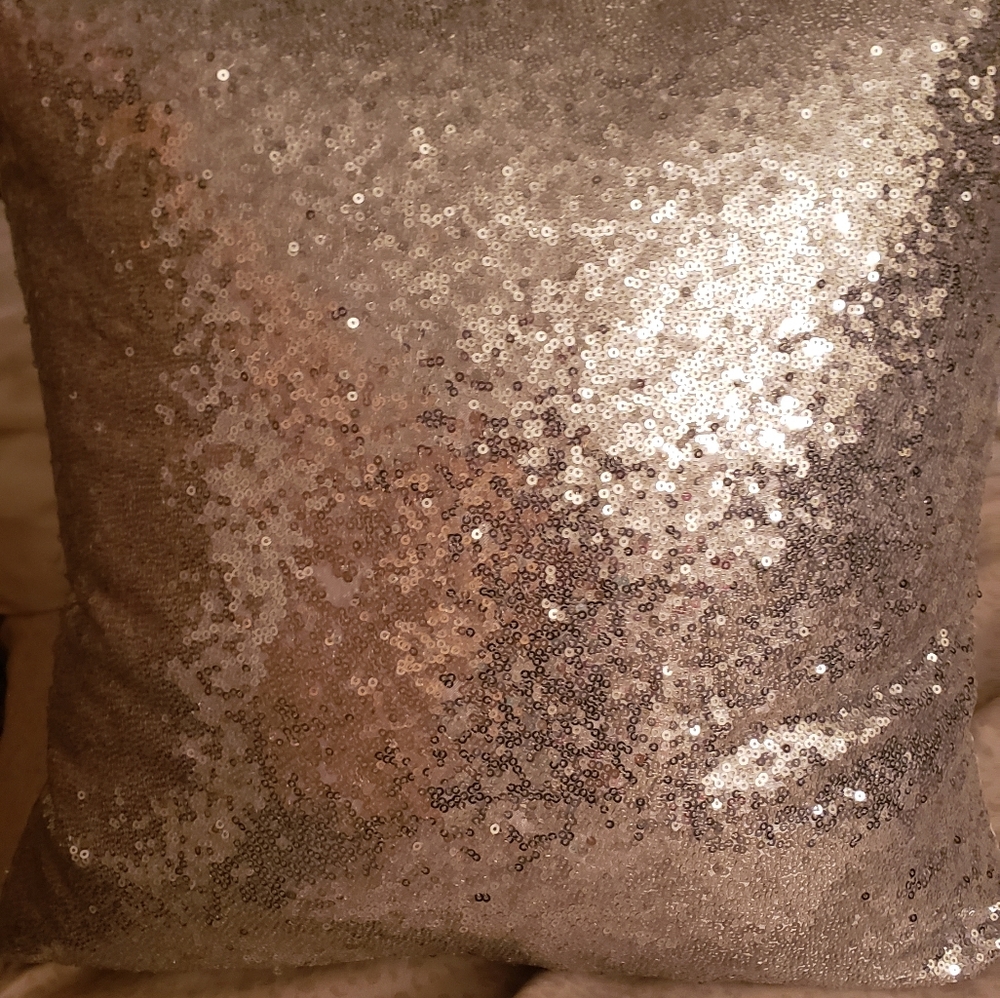 20x20 silver sequin pillows